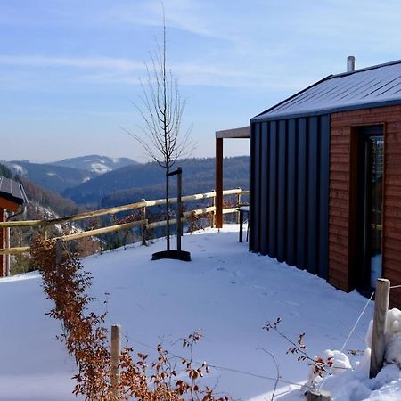 Uplandparcs Winterberg别墅 外观 照片