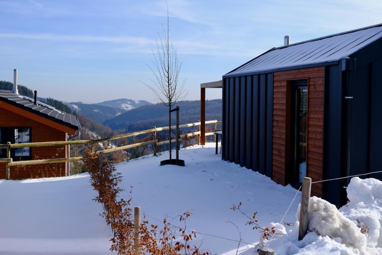 Uplandparcs Winterberg别墅 外观 照片